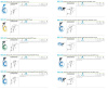 SPANISH BLOW GUN DISPLAY 50x06